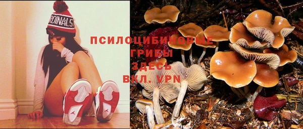 дмт Алзамай