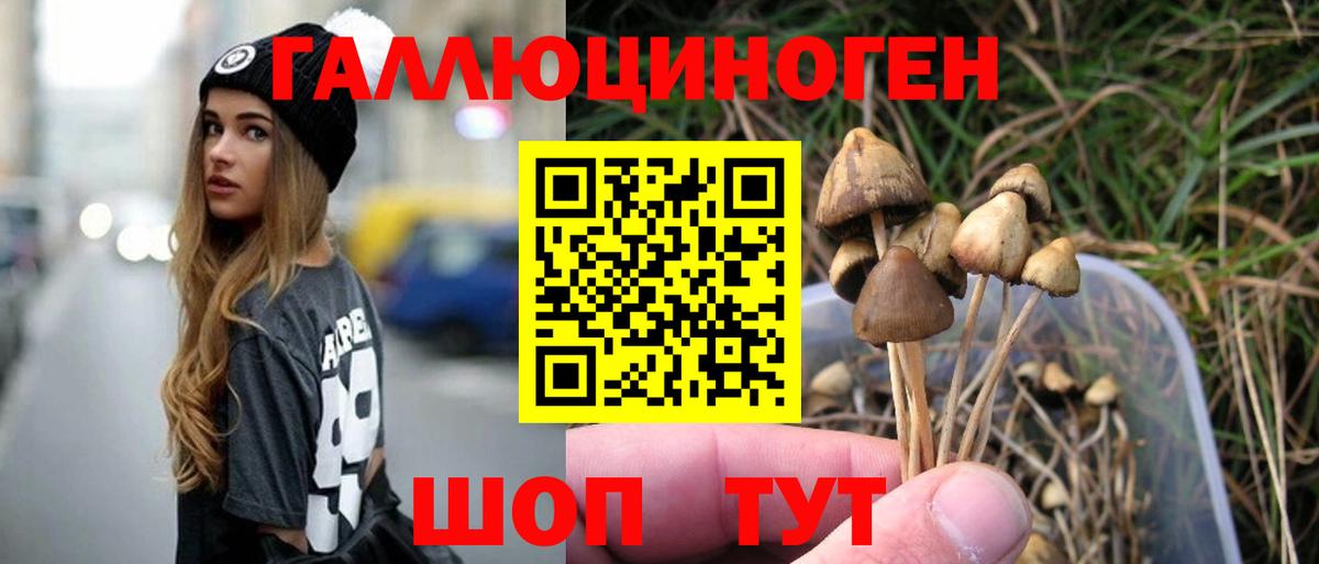 Псилоцибиновые грибы Psilocybe  Вход с VPN  купить наркотик  Балаково 