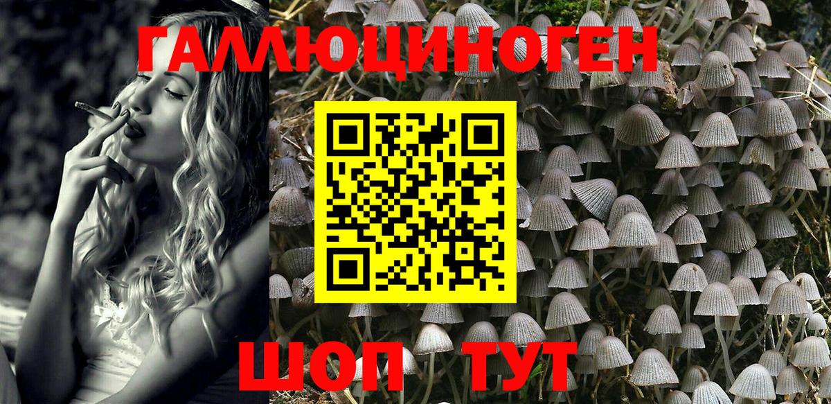 Псилоцибиновые грибы Psilocybe Балаково
